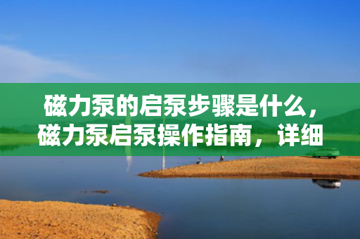 磁力泵的启泵步骤是什么，磁力泵启泵操作指南，详细步骤解析