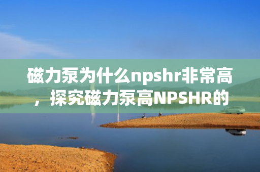磁力泵为什么npshr非常高，探究磁力泵高NPSHR的原因