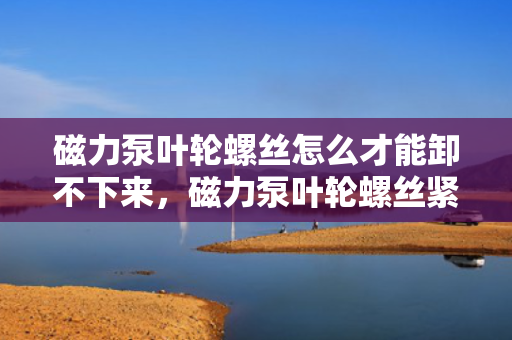 磁力泵叶轮螺丝怎么才能卸不下来，磁力泵叶轮螺丝紧固无法卸下解决方案