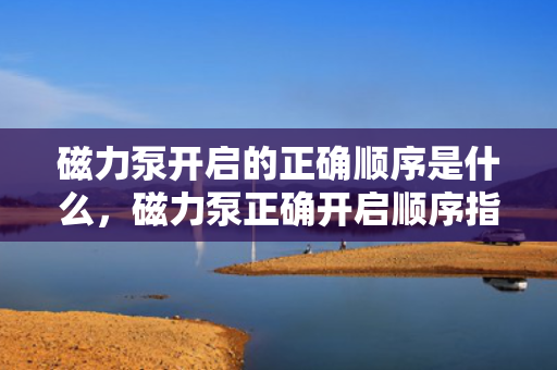 磁力泵开启的正确顺序是什么，磁力泵正确开启顺序指南