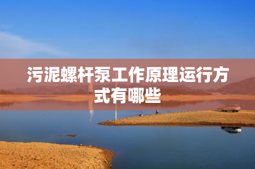 污泥螺杆泵工作原理运行方式有哪些 污泥螺杆泵工作原理运行方式有哪些