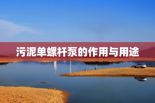 污泥单螺杆泵的作用与用途