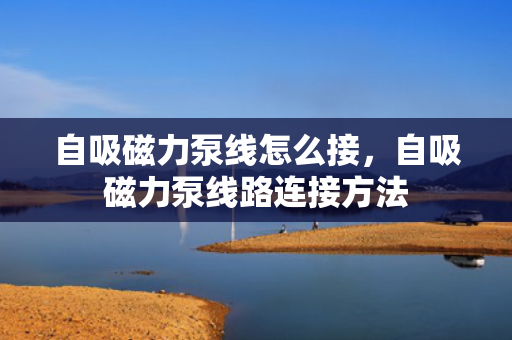 自吸磁力泵线怎么接，自吸磁力泵线路连接方法