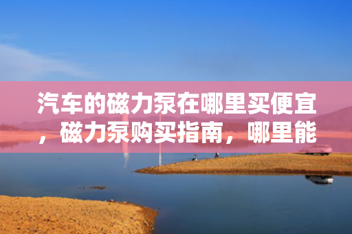 汽车的磁力泵在哪里买便宜，磁力泵购买指南，哪里能找到价格实惠的汽车磁力泵？