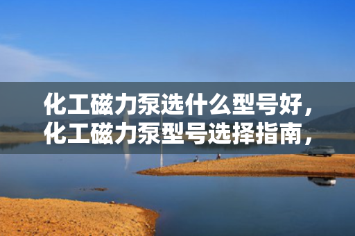 化工磁力泵选什么型号好，化工磁力泵型号选择指南，如何挑选***适合的型号