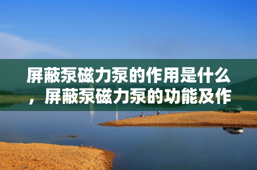 屏蔽泵磁力泵的作用是什么，屏蔽泵磁力泵的功能及作用解析