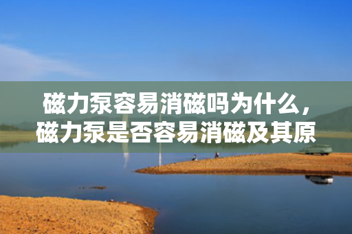 磁力泵容易消磁吗为什么，磁力泵是否容易消磁及其原因解析