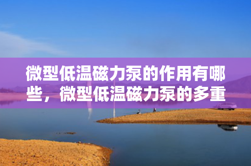 微型低温磁力泵的作用有哪些，微型低温磁力泵的多重功效解析