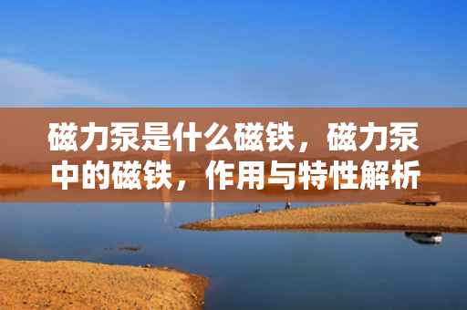 磁力泵是什么磁铁，磁力泵中的磁铁，作用与特性解析