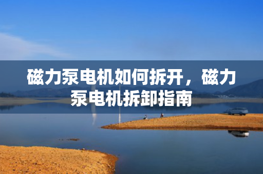 磁力泵电机如何拆开，磁力泵电机拆卸指南