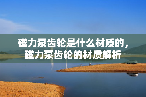 磁力泵齿轮是什么材质的，磁力泵齿轮的材质解析