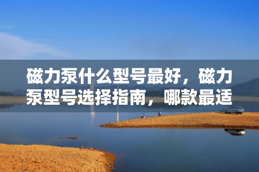 磁力泵什么型号***好，磁力泵型号选择指南，哪款***适合您的需求？