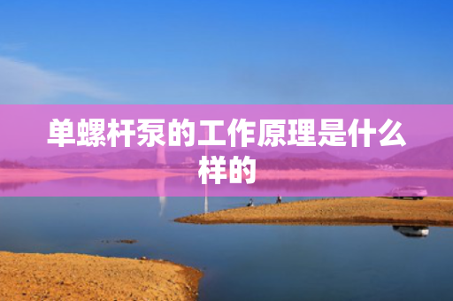 单螺杆泵的工作原理是什么样的