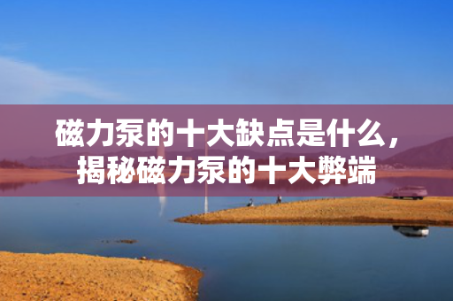 磁力泵的十大缺点是什么，揭秘磁力泵的十大弊端