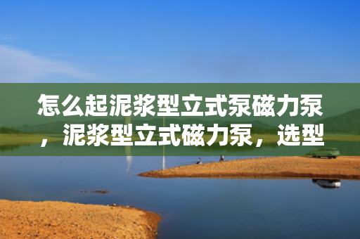 怎么起泥浆型立式泵磁力泵，泥浆型立式磁力泵，选型、使用与维护全攻略
