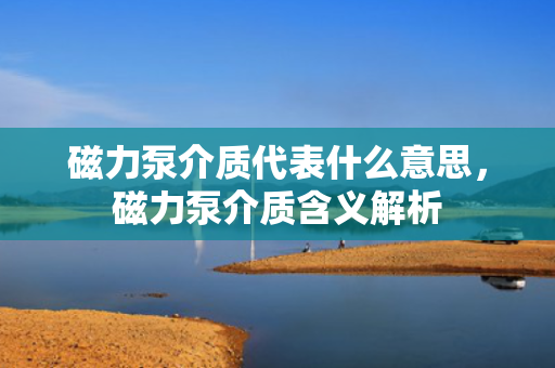 磁力泵介质代表什么意思，磁力泵介质含义解析