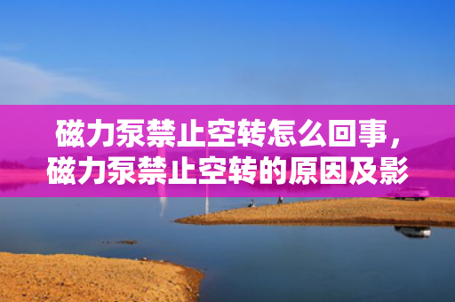 磁力泵禁止空转怎么回事，磁力泵禁止空转的原因及影响解析