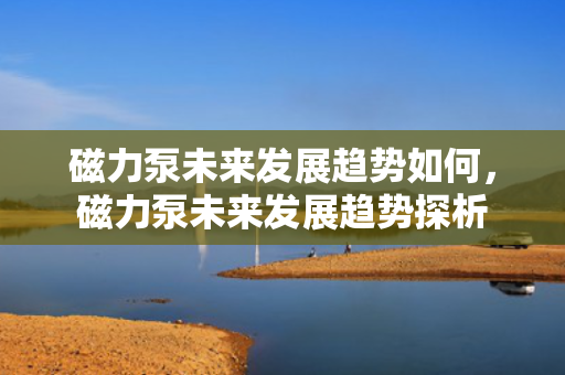 磁力泵未来发展趋势如何，磁力泵未来发展趋势探析