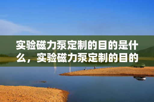 实验磁力泵定制的目的是什么，实验磁力泵定制的目的及意义