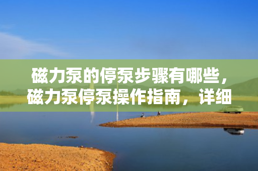 磁力泵的停泵步骤有哪些，磁力泵停泵操作指南，详细步骤解析