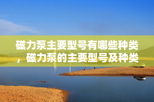 磁力泵主要型号有哪些种类，磁力泵的主要型号及种类概览