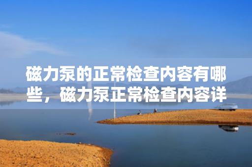 磁力泵的正常检查内容有哪些，磁力泵正常检查内容详解