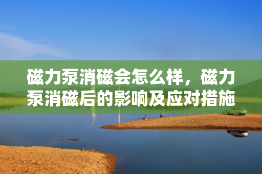 磁力泵消磁会怎么样，磁力泵消磁后的影响及应对措施