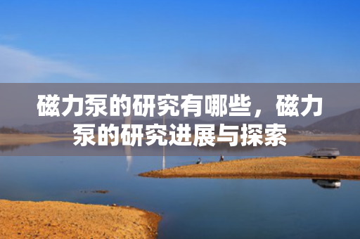 磁力泵的研究有哪些，磁力泵的研究进展与探索