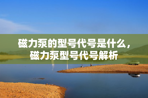 磁力泵的型号代号是什么，磁力泵型号代号解析