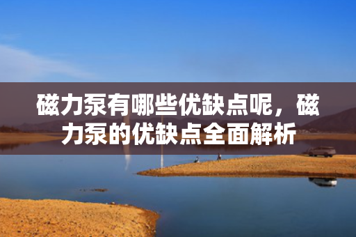 磁力泵有哪些优缺点呢，磁力泵的优缺点全面解析