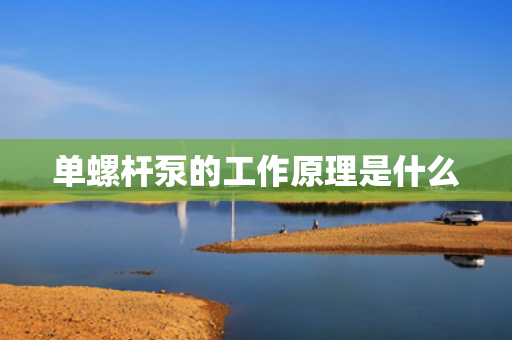 单螺杆泵的工作原理是什么