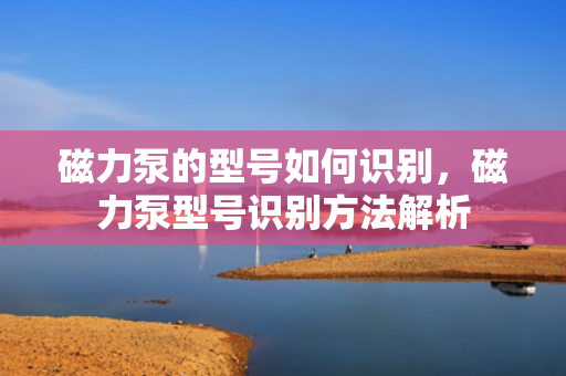 磁力泵的型号如何识别，磁力泵型号识别方法解析