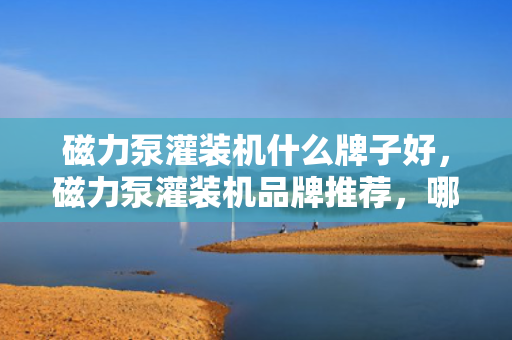 磁力泵灌装机什么牌子好，磁力泵灌装机品牌推荐，哪个牌子更胜一筹？