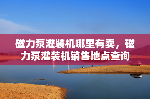 磁力泵灌装机哪里有卖，磁力泵灌装机销售地点查询