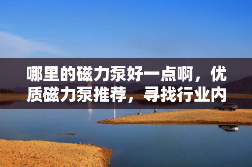 哪里的磁力泵好一点啊，优质磁力泵推荐，寻找行业内的佼佼者