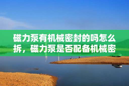 磁力泵有机械密封的吗怎么拆，磁力泵是否配备机械密封及拆卸方法解析
