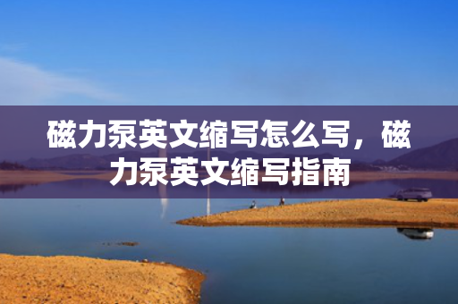 磁力泵英文缩写怎么写，磁力泵英文缩写指南