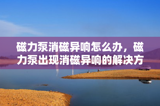 磁力泵消磁异响怎么办，磁力泵出现消磁异响的解决方法