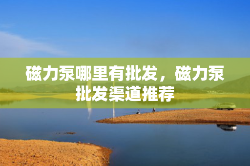 磁力泵哪里有批发，磁力泵批发渠道推荐