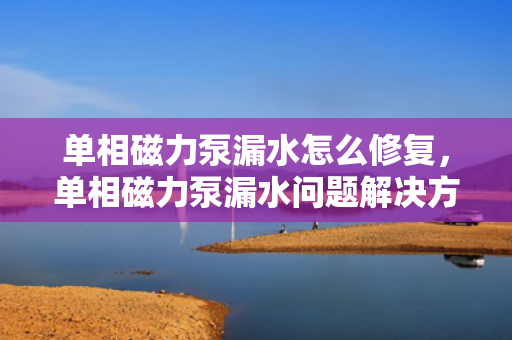 单相磁力泵漏水怎么修复，单相磁力泵漏水问题解决方案