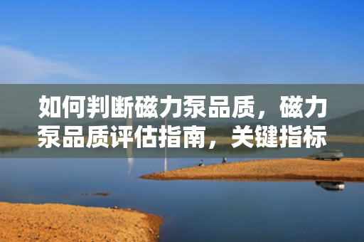 如何判断磁力泵品质，磁力泵品质评估指南，关键指标与选购建议