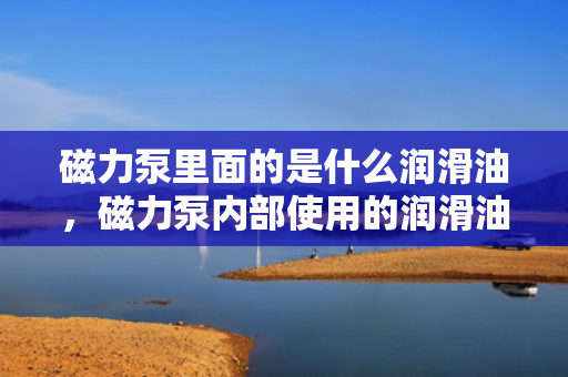 磁力泵里面的是什么润滑油，磁力泵内部使用的润滑油是何种类型？