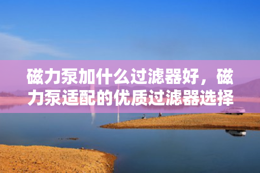 磁力泵加什么过滤器好，磁力泵适配的优质过滤器选择指南