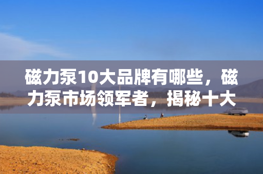 磁力泵10大品牌有哪些，磁力泵市场领军者，揭秘十大知名品牌