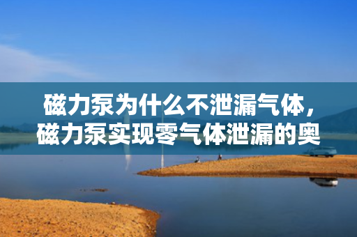 磁力泵为什么不泄漏气体，磁力泵实现零气体泄漏的奥秘