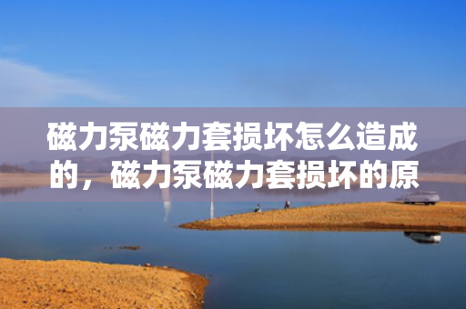 磁力泵磁力套损坏怎么造成的，磁力泵磁力套损坏的原因解析