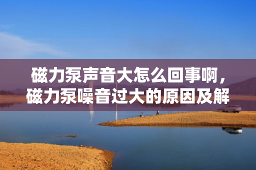 磁力泵声音大怎么回事啊，磁力泵噪音过大的原因及解决方法