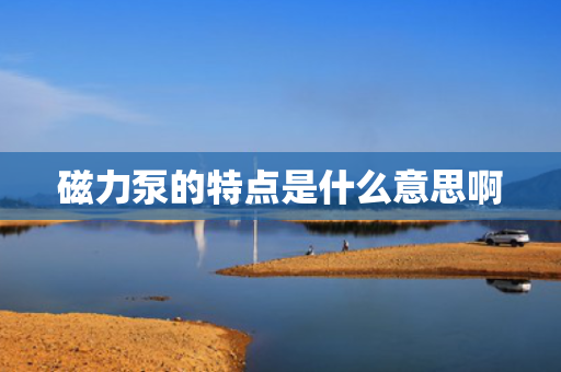 磁力泵的特点是什么意思啊