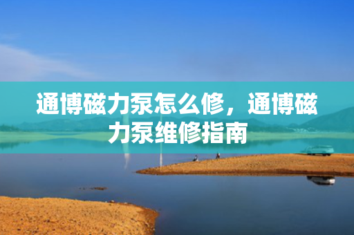 通博磁力泵怎么修，通博磁力泵维修指南