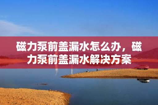 磁力泵前盖漏水怎么办，磁力泵前盖漏水解决方案
